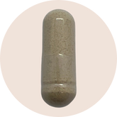 Qualia Mind 2.0